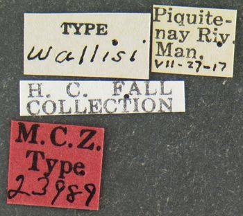 Media type: image;   Entomology 23989 Aspect: labels